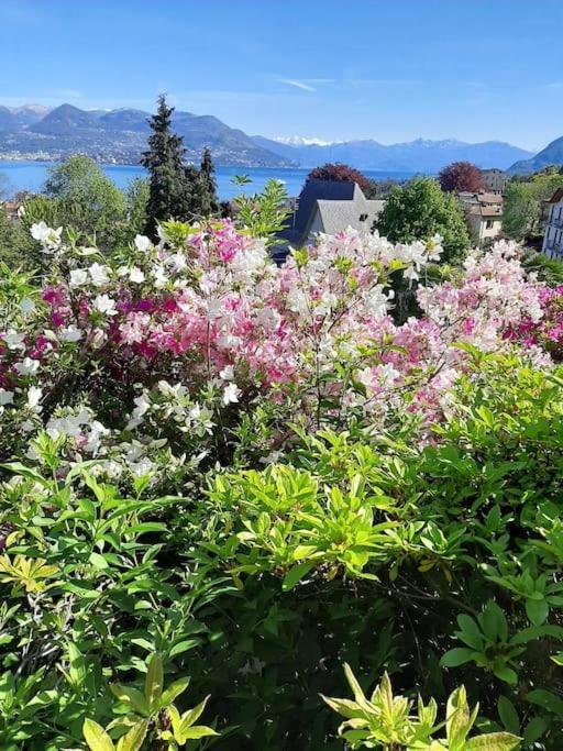 La Finestra Sul Lago - In Villa Con Vista E Posto Auto Coperto 斯特雷萨 外观 照片